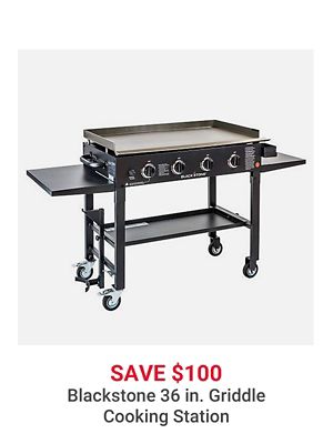Griddle Cooking Station